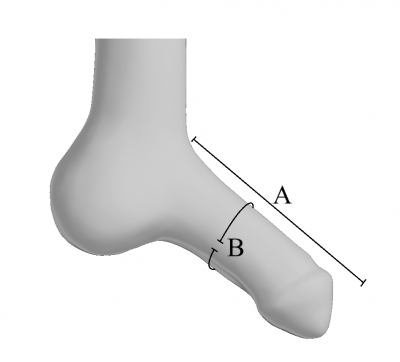 ac-111_size
